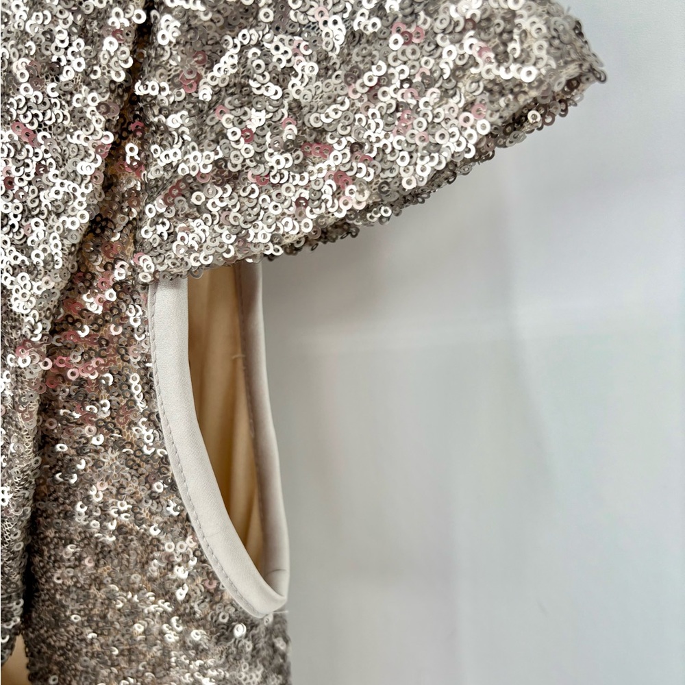 Sorella Vita Silver Modern Sequin Gown - Picture 10 of 11